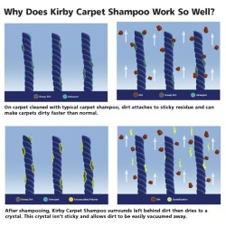 Kirby Carpet Shampoo 3785 ml